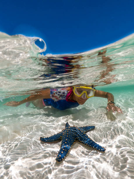 Adult Woman Finding Exotic Starfish in Ocean on Summer Vacations.