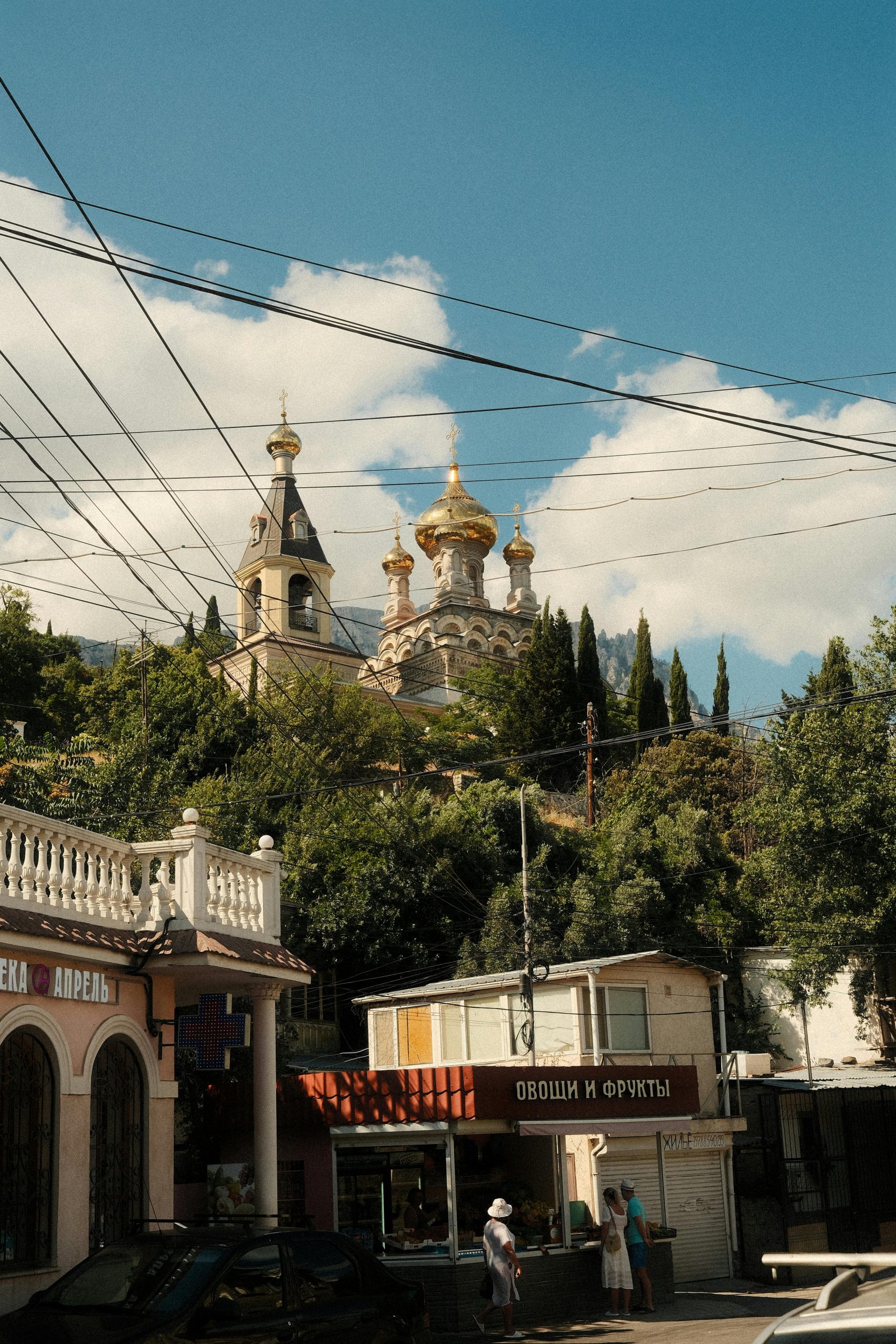 pexels-ervin-fon-trichev-102943620-32839261